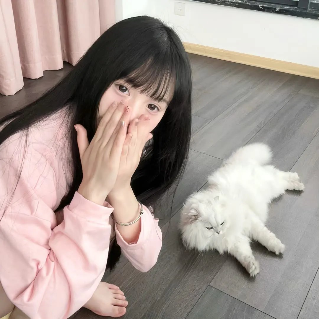 坑爹游戏